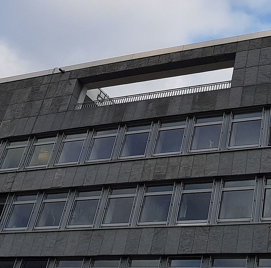 WEVG Salzgitter GmbH & Co. KG